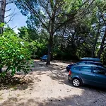 Family Friendly Seaside Dingac - Borak, Peljesac - 18065 Potomje