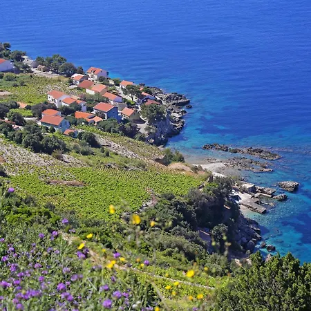 Family Friendly Seaside Dingac - Borak, Peljesac - 18065 *