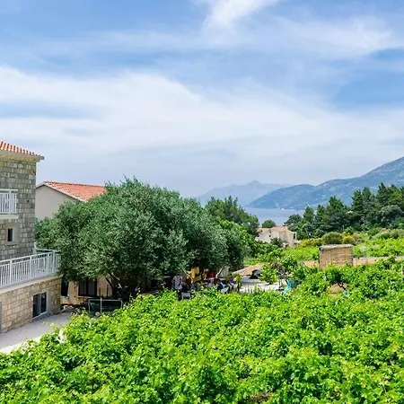 Family Friendly Seaside Dingac - Borak, Peljesac - 18065 Apartment Potomje