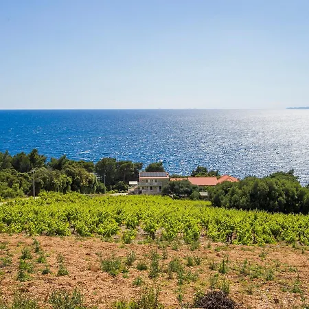 Family Friendly Seaside Dingac - Borak, Peljesac - 18065 * Potomje