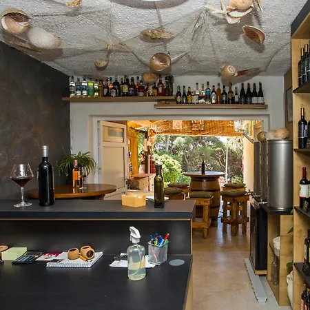 Family Friendly Seaside Dingac - Borak, Peljesac - 18065