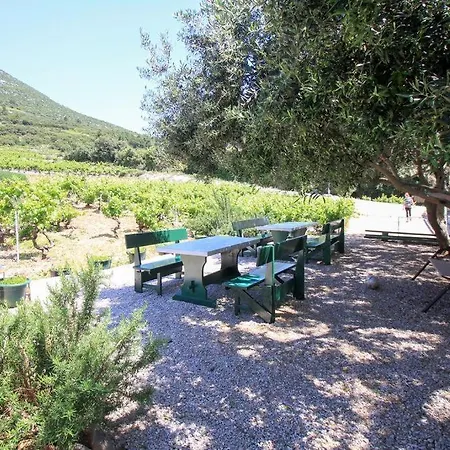 Family Friendly Seaside Dingac - Borak, Peljesac - 18065 * Potomje