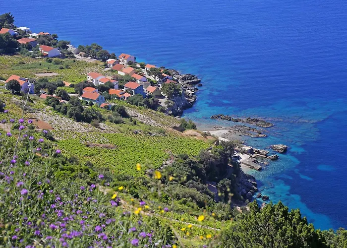 Family Friendly Seaside Dingac - Borak, Peljesac - 18065 *