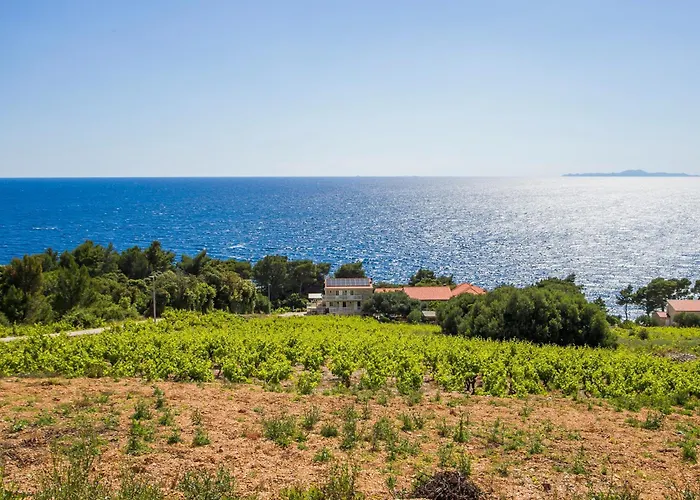 Family Friendly Seaside Dingac - Borak, Peljesac - 18065 * Potomje