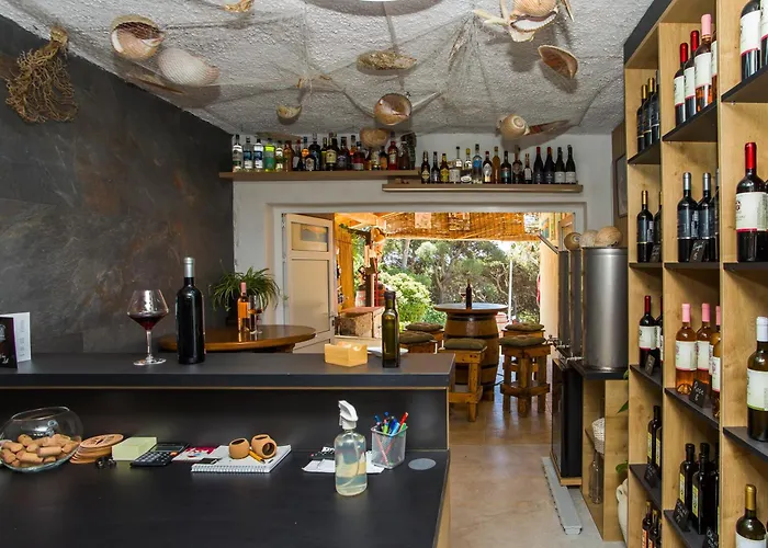 Family Friendly Seaside Dingac - Borak, Peljesac - 18065